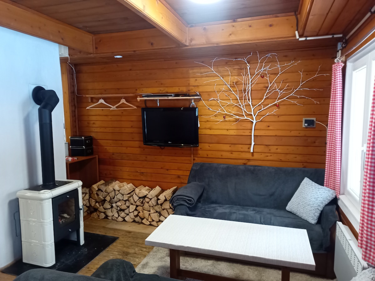 The living area features wooden walls complemented by a cozy wood-burning stove. Two comfortable sofas are positioned around a central table. A television is mounted on the wall, with neatly stacked firewood nearby, enhancing the cabin's rustic charm.