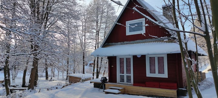 Cabin 3 with creek view, more privacy