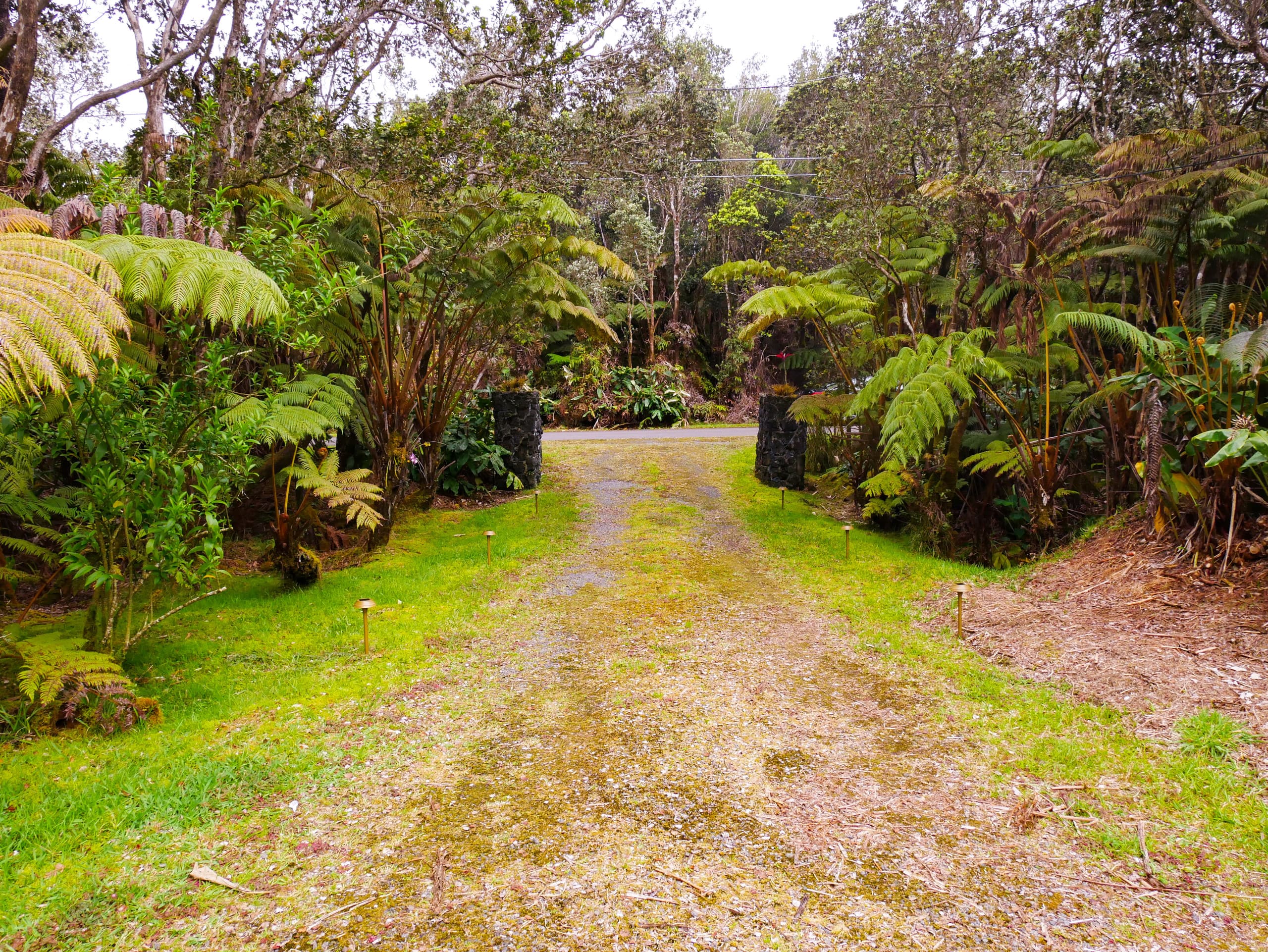 Home in Volcano · ★4.98 · 2 bedrooms · 3 beds · 1 private bath - Image 15