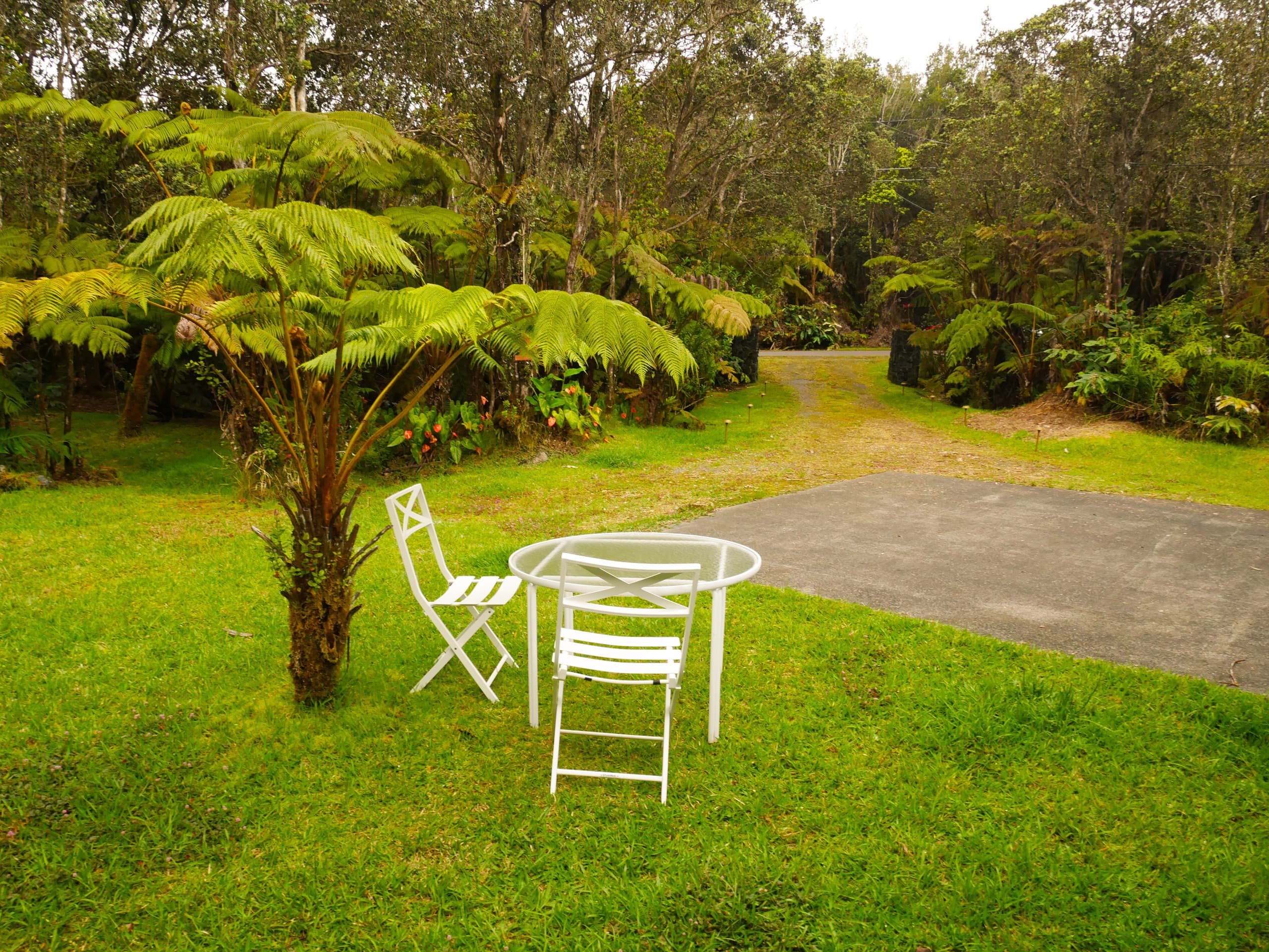 Home in Volcano · ★4.98 · 2 bedrooms · 3 beds · 1 private bath - Image 22