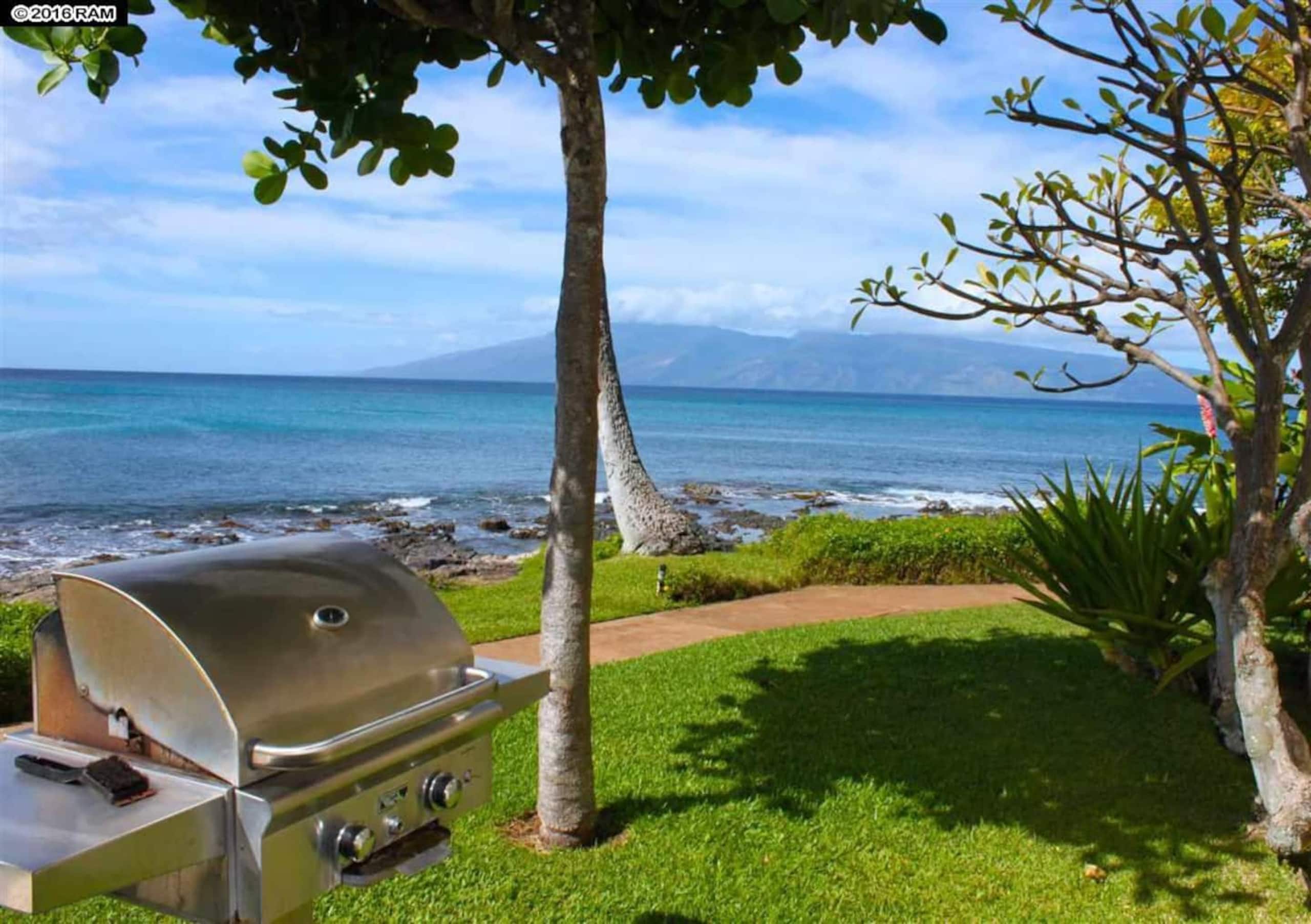 Oceanfront Paradise! Sea Turtle Cove C24 Napili Pt - Image 9