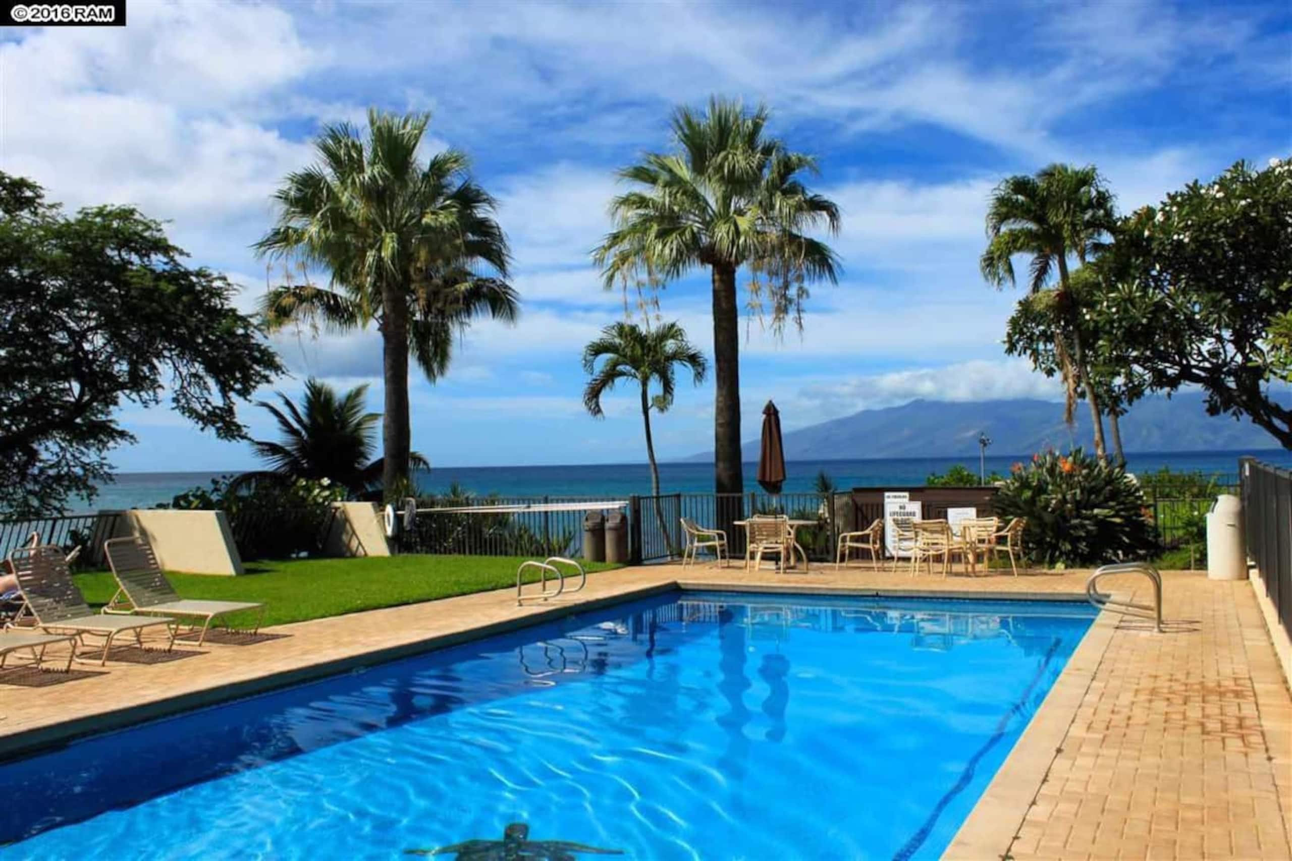 Oceanfront Paradise! Sea Turtle Cove C24 Napili Pt - Image 13