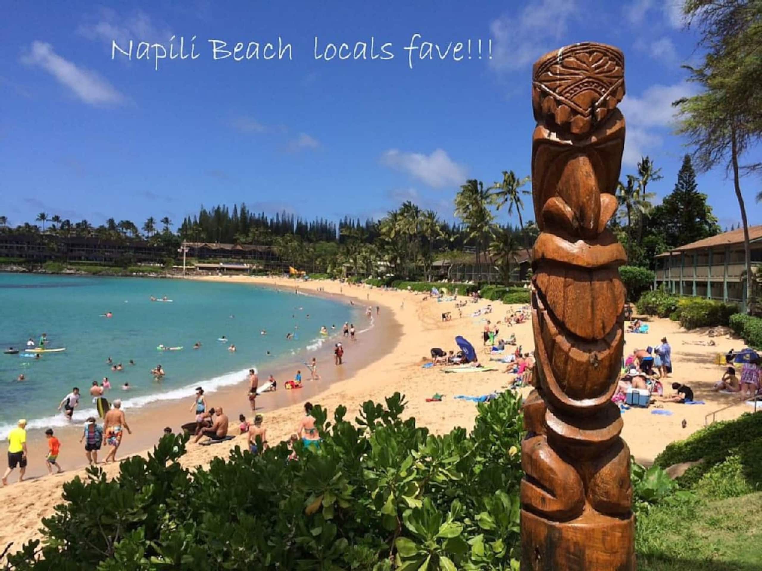 Oceanfront Paradise! Sea Turtle Cove C24 Napili Pt - Image 11