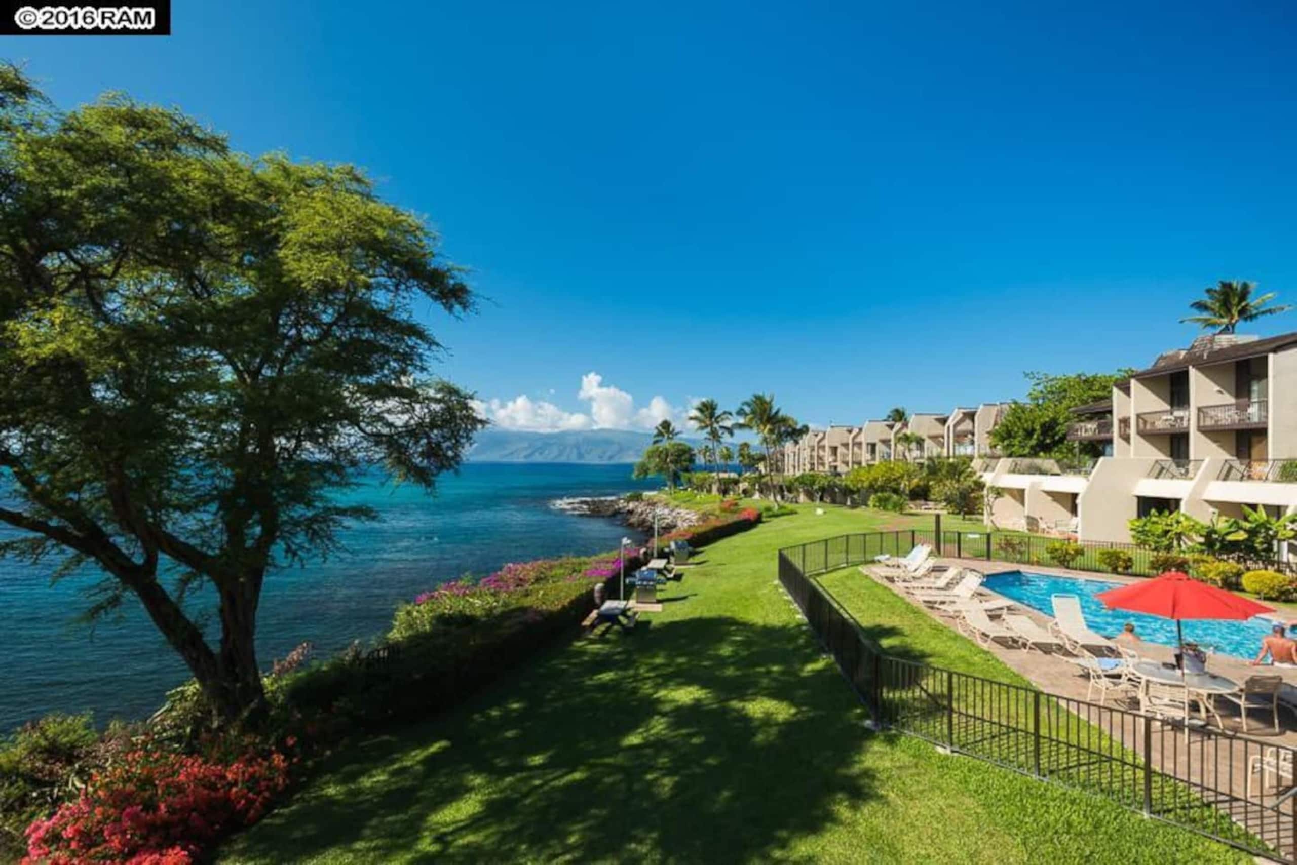 Oceanfront Paradise! Sea Turtle Cove C24 Napili Pt - Image 14