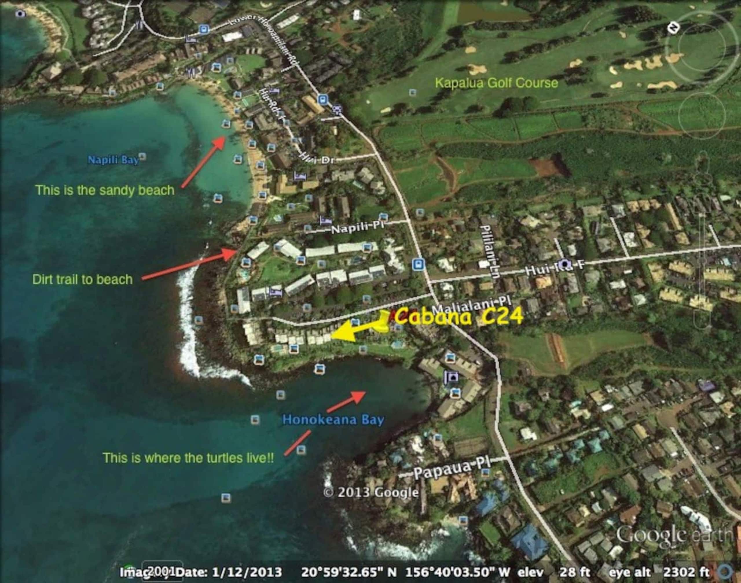 Oceanfront Paradise! Sea Turtle Cove C24 Napili Pt - Image 18