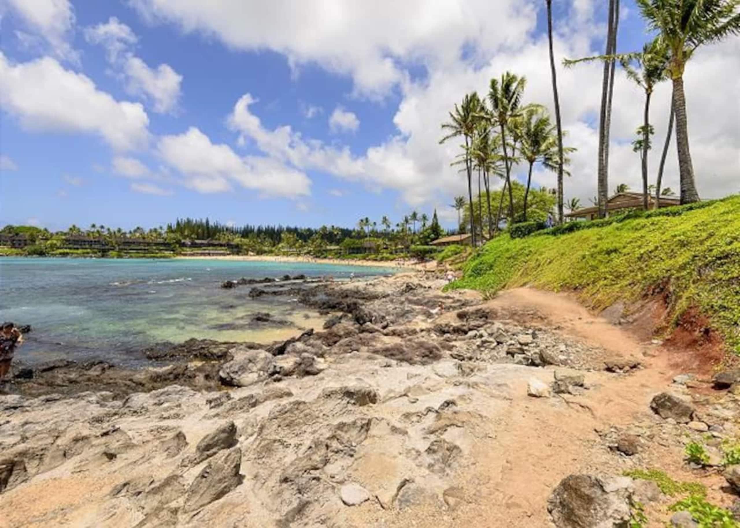 Oceanfront Paradise! Sea Turtle Cove C24 Napili Pt - Image 12