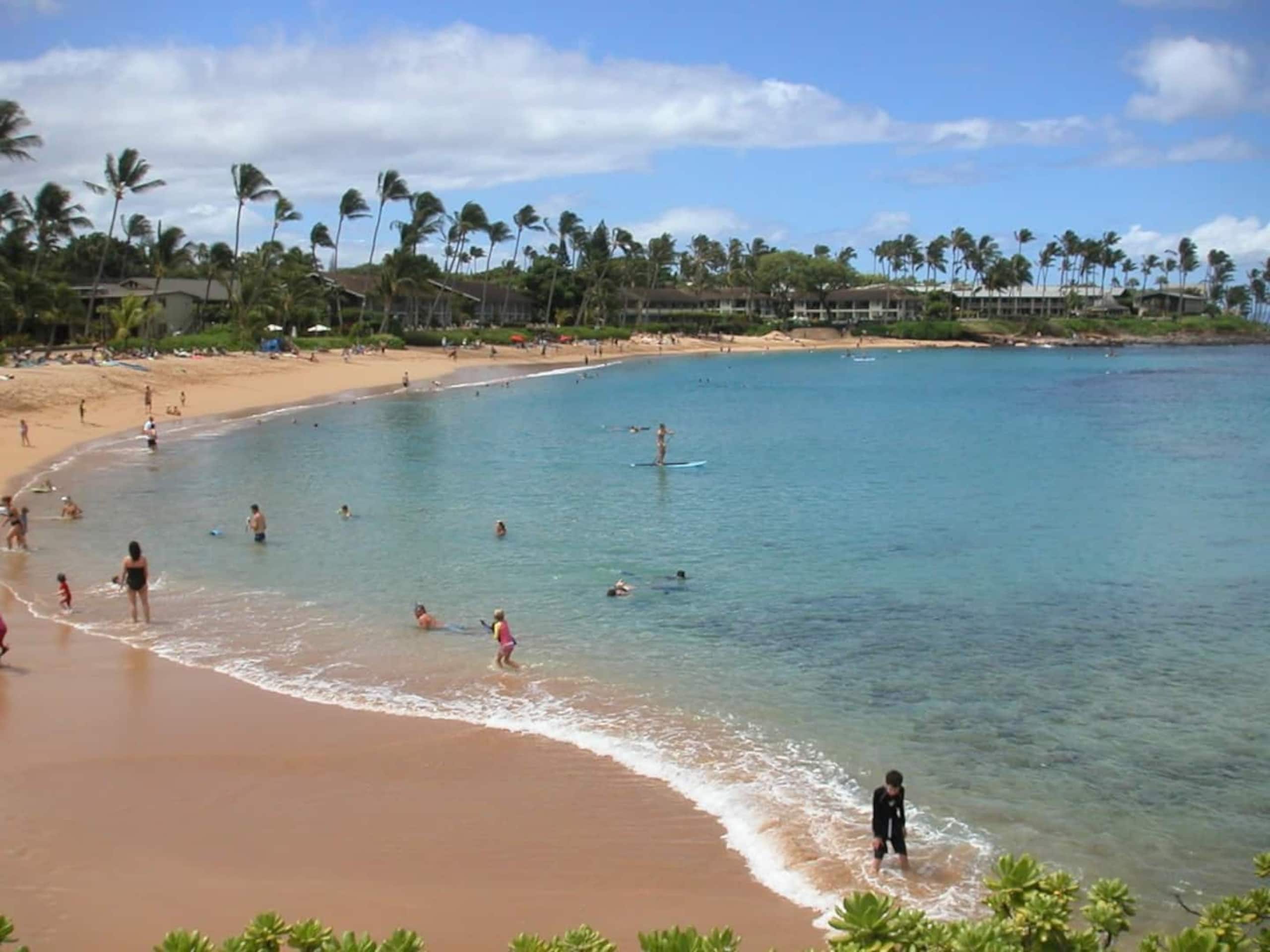 Oceanfront Paradise! Sea Turtle Cove C24 Napili Pt - Image 20
