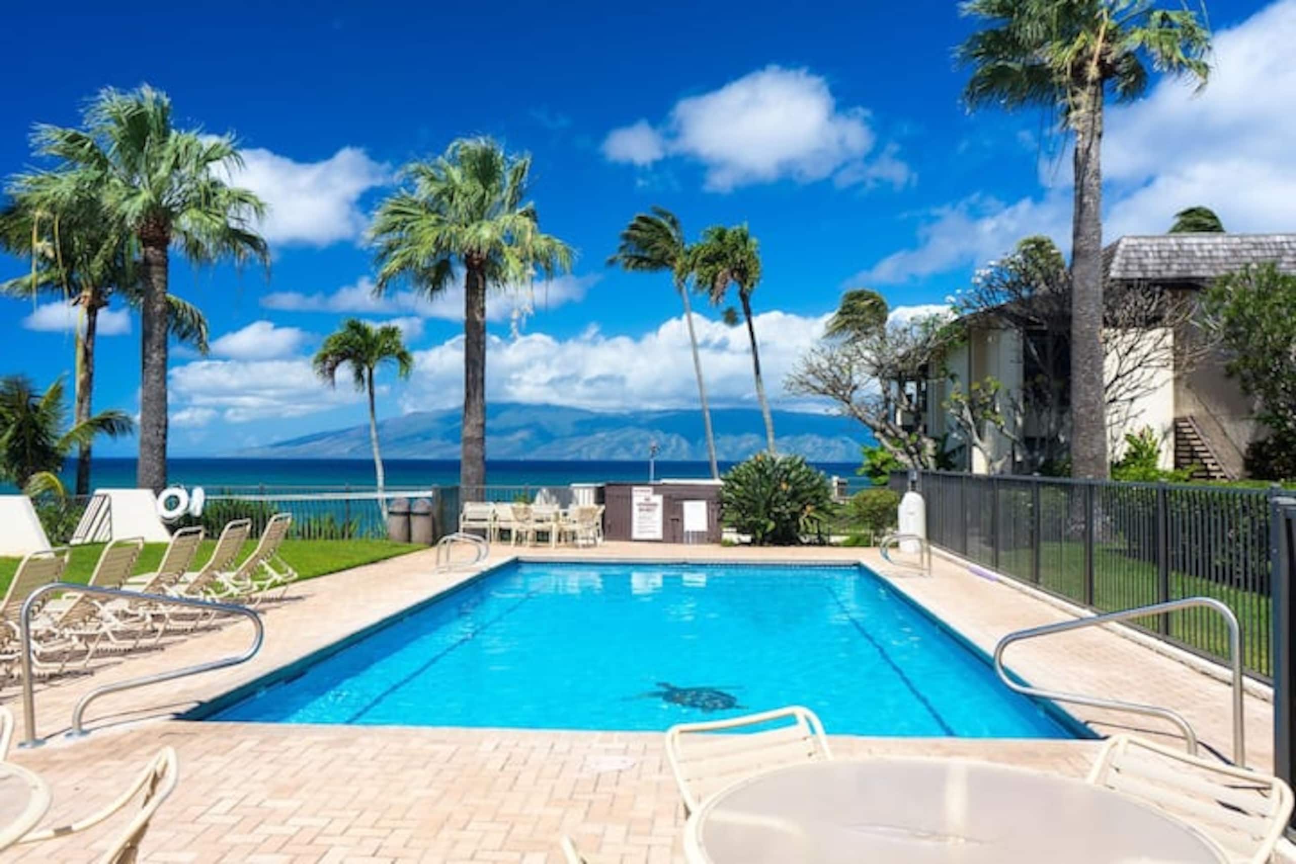 Oceanfront Paradise! Sea Turtle Cove C24 Napili Pt - Image 15