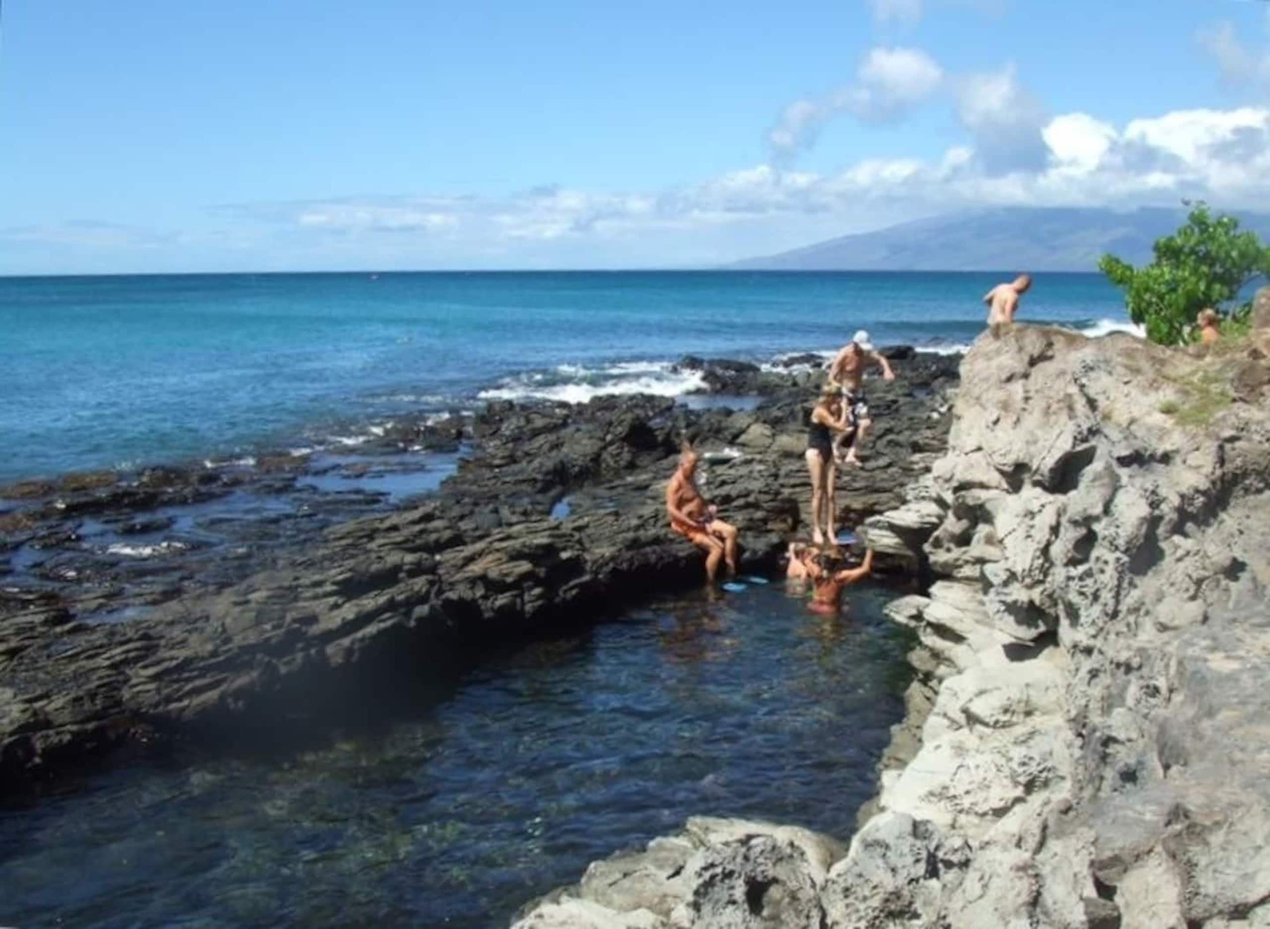 Oceanfront Paradise! Sea Turtle Cove C24 Napili Pt - Image 17