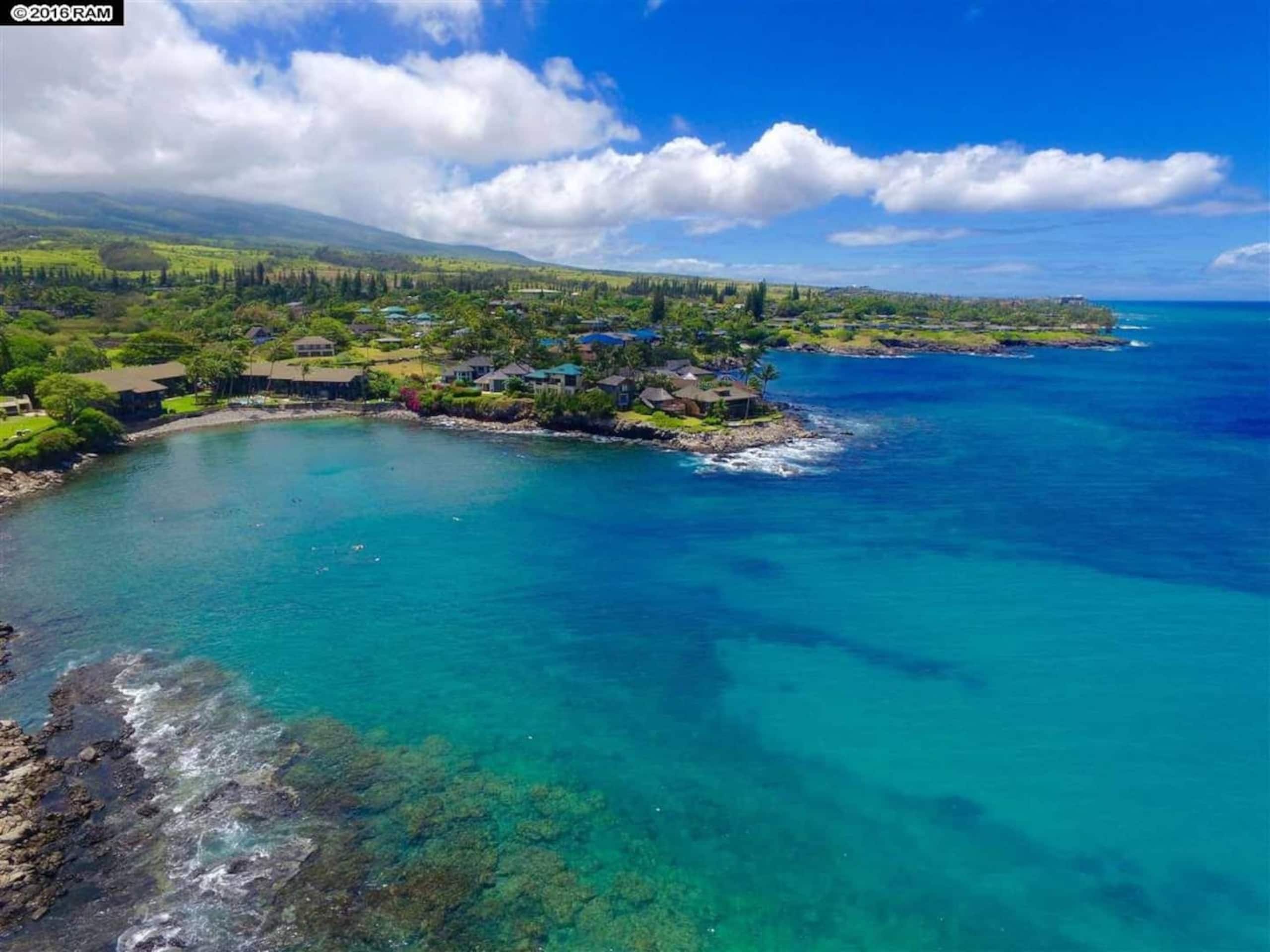 Oceanfront Paradise! Sea Turtle Cove C24 Napili Pt - Image 7