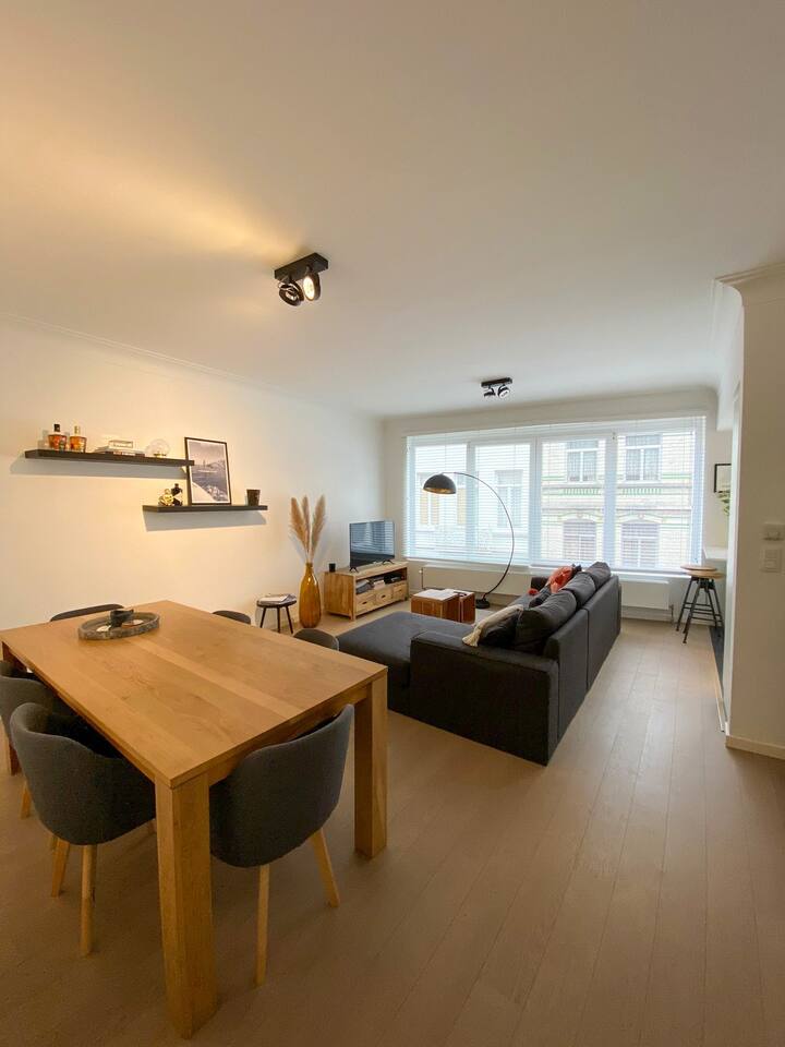 Light and cozy apartment Antwerp South Apartments for Rent in