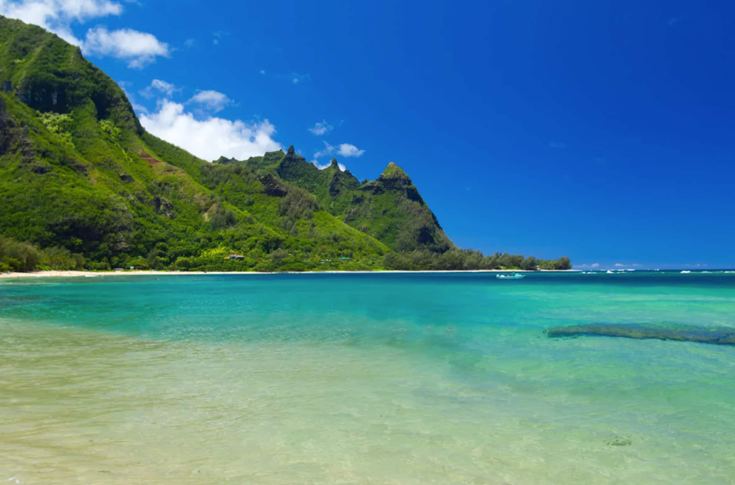 Condo in Princeville · ★4.9 · 1 bedroom · 1 bed · 1 private bath - Image 20