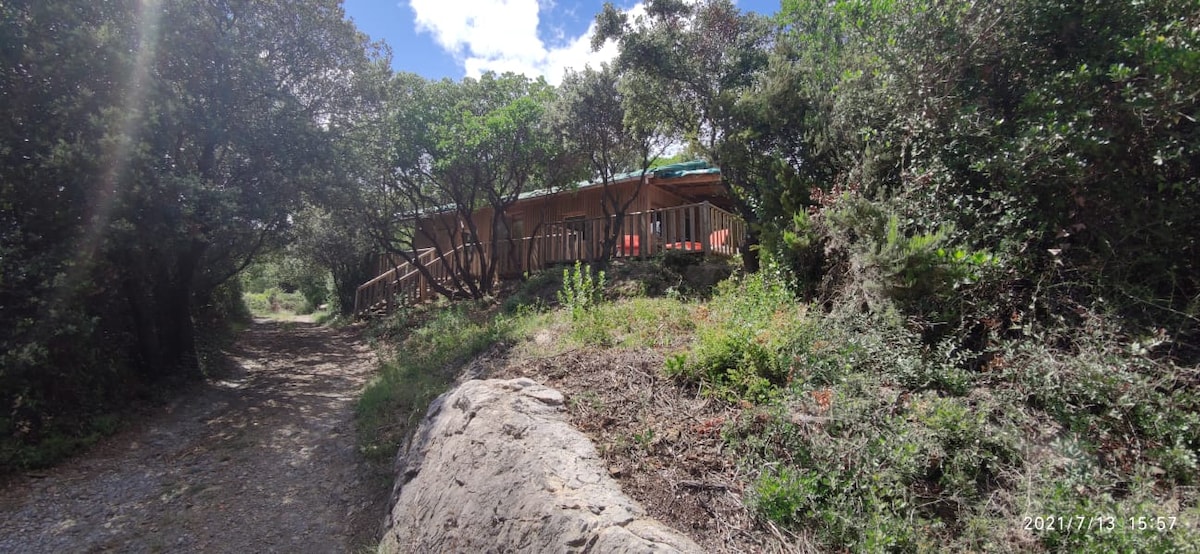 A nature path winds through lush greenery leading to a wooden cabin, elevated on a platform. The cabin features a spacious deck with bright seating areas, surrounded by thick shrubs and trees, offering a sense of privacy and tranquility.