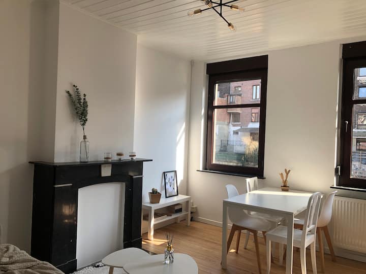 Pleasant cocoon near Place Saint Lambert Apartments for Rent in Liège