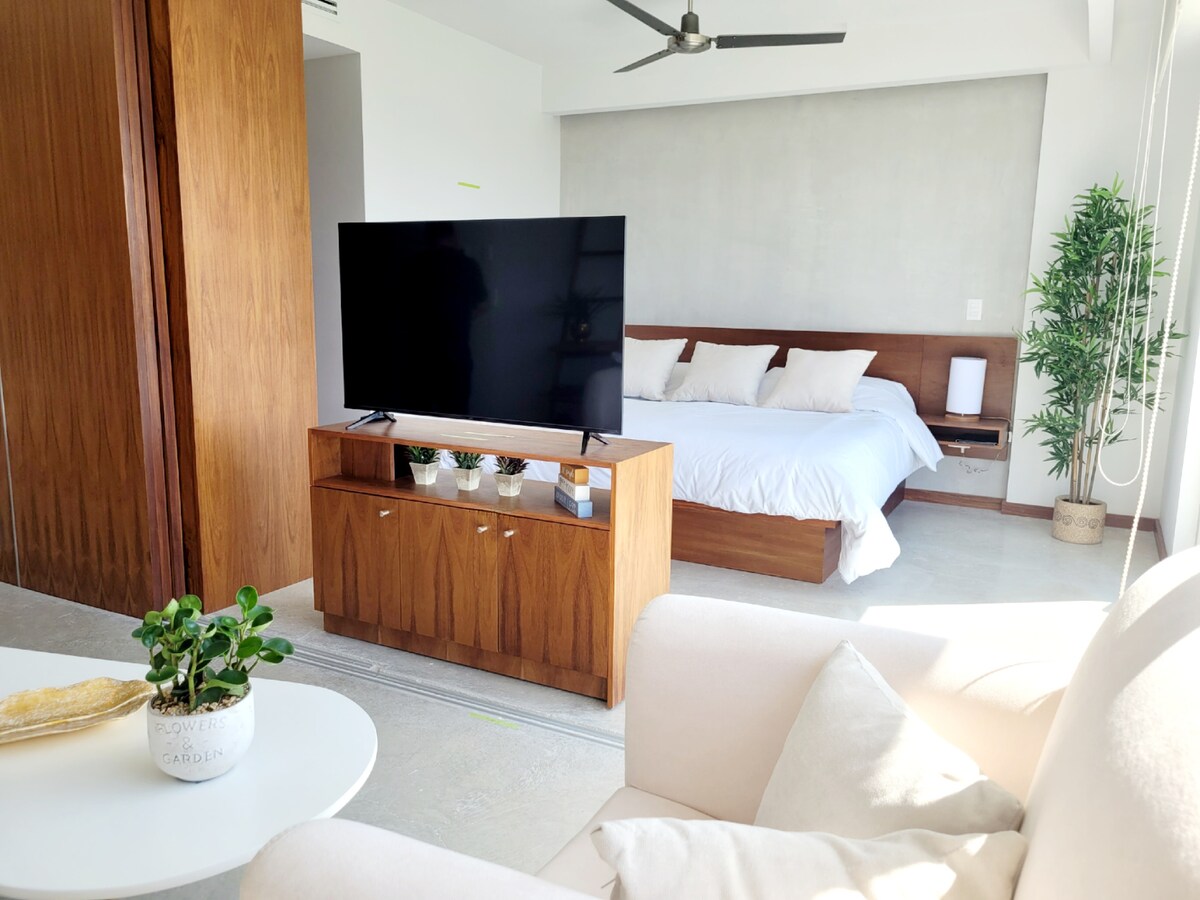 פתיחת התוכנית