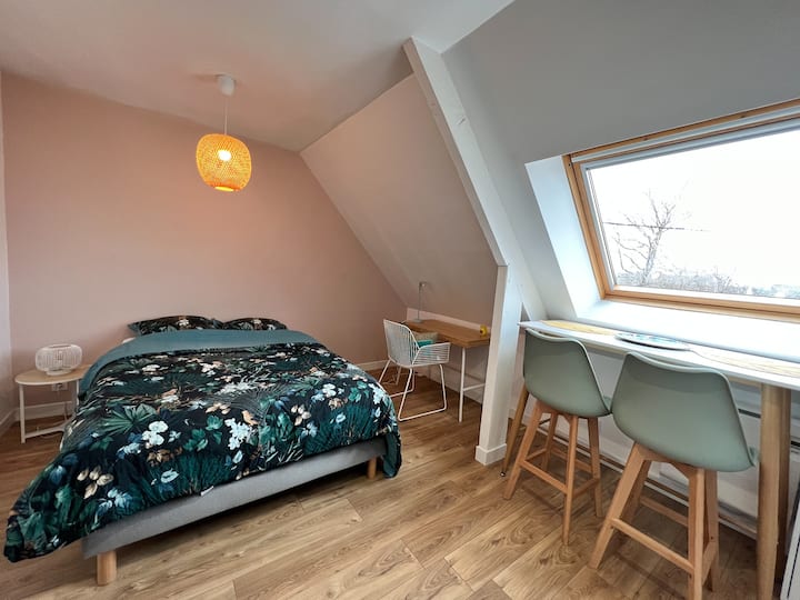 Saint Brieuc charmant studio au calme Apartments for Rent in SaintBrieuc, Bretagne, France