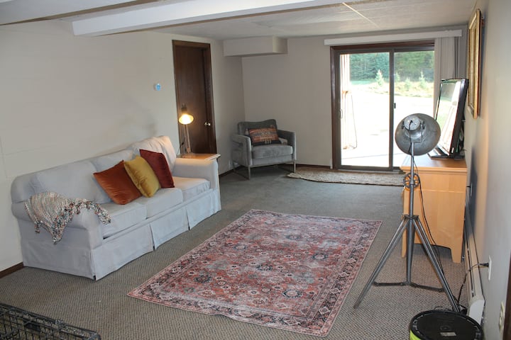 sala de estar con sofá cama.