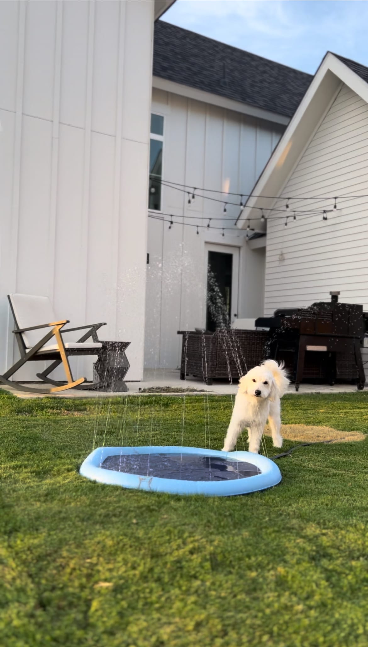 A playful dog is seen near a circular splash pad, with water spraying in a gentle arc. The green grass surrounds the pad, while a wooden chair and patio furniture are positioned in the background, contributing to a relaxed outdoor atmosphere.