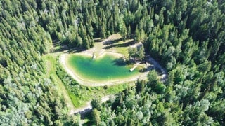 Aerial view of a serene pond surrounded by lush greenery. Trees encircle the water, reflecting the natural beauty of the landscape. A gravel path leads to the pond, highlighting the remote and tranquil setting of the cabin retreat.