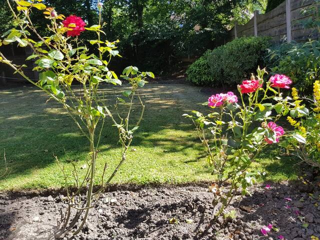 Lovely 4 bed House close to Manchester Airport. gallery image 2