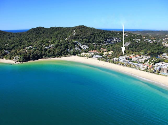 Holiday in the Heart of Hastings Street!