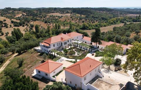 NEW LISTING! Quinta da Marmela-19th century Villa