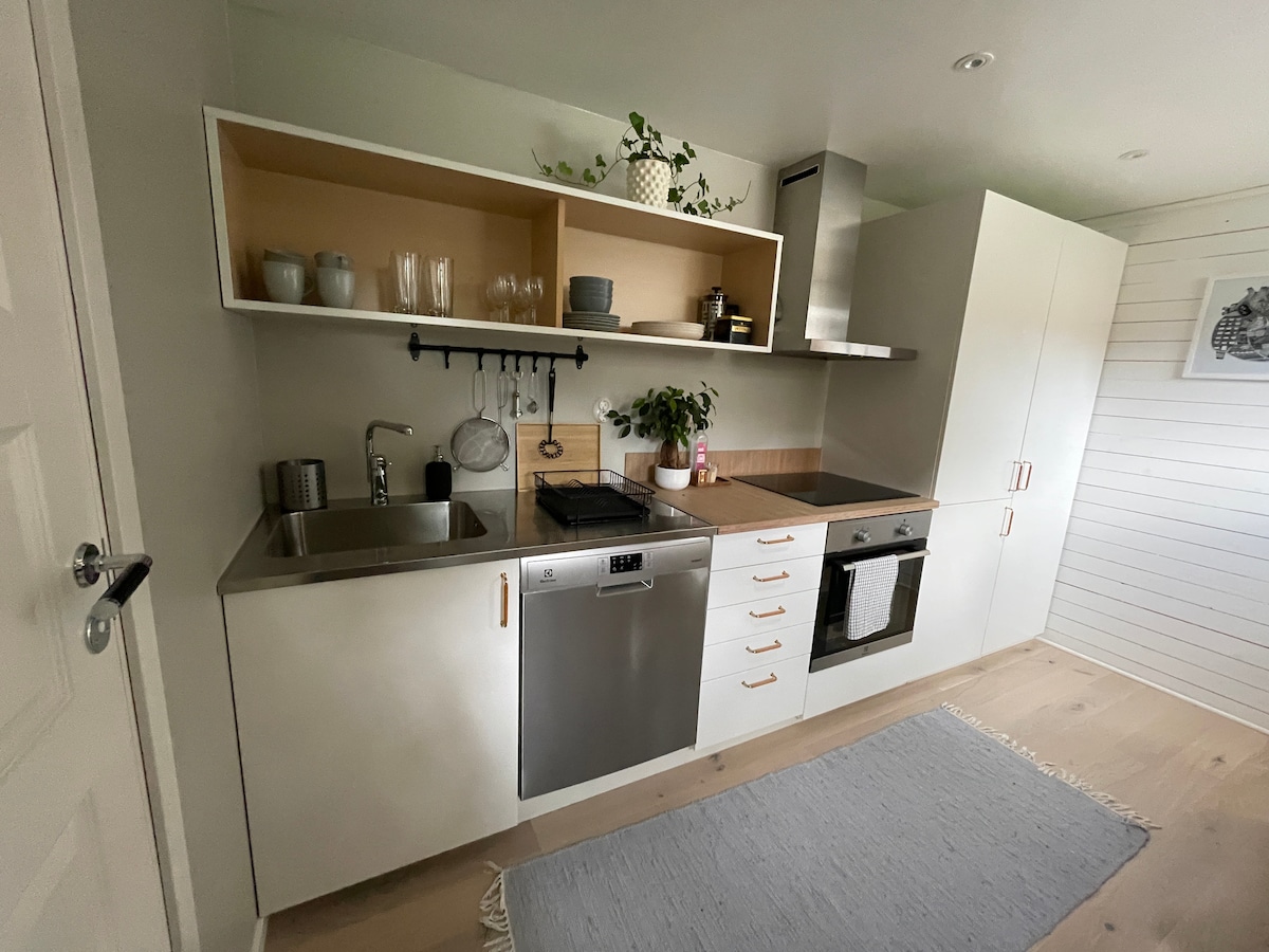 A modern kitchen is equipped with stainless steel appliances including a dishwasher, oven, and stove. Light cabinetry provides ample storage, while a countertop features a small sink and preparation area. A muted rug lies on the floor, adding a touch of warmth to the space.