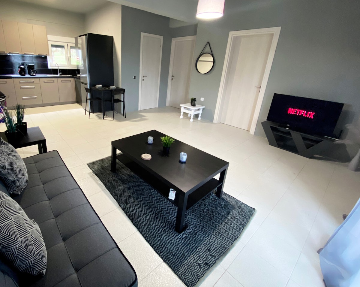A modern living space features a dark coffee table positioned on a textured rug, with a sleek TV stand displaying a Netflix logo. A comfortable sofa is complemented by decorative cushions, and a kitchenette is visible in the background, creating a cozy atmosphere.