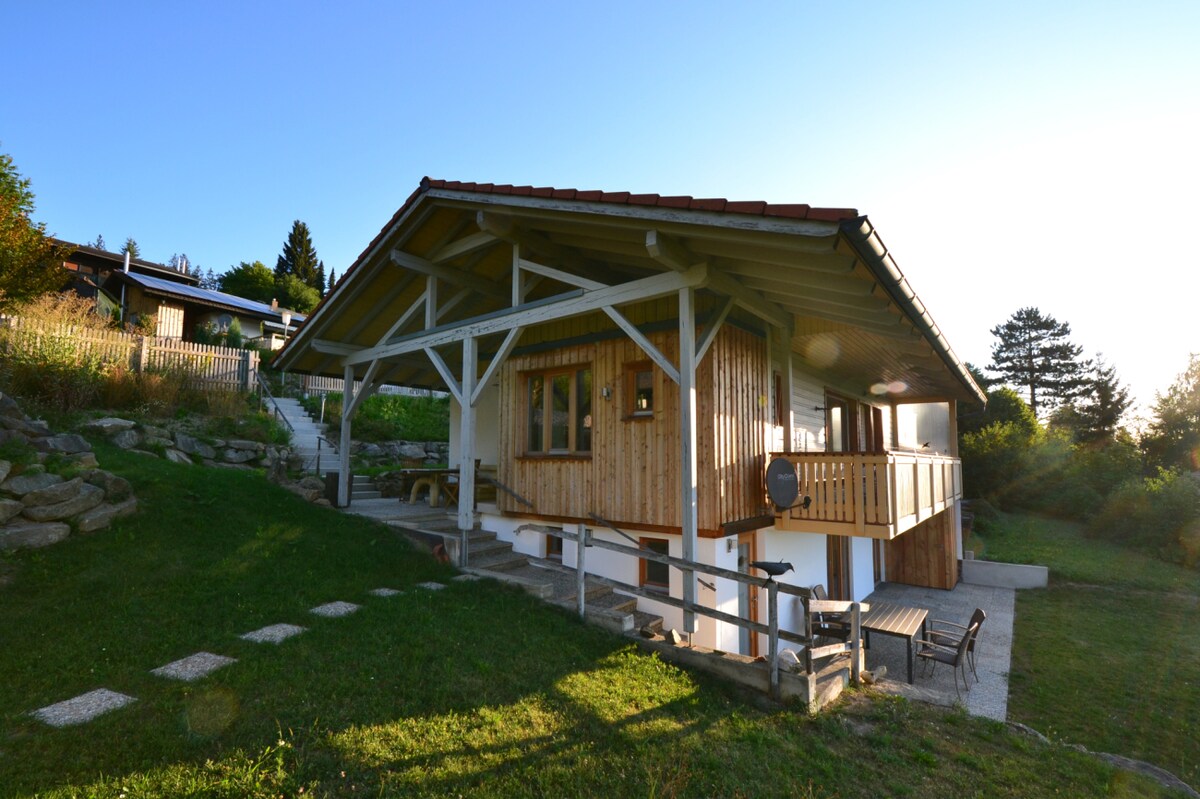 A modern garden apartment is shown from the exterior, featuring a covered terrace and wooden accents. Steps lead to a well-maintained garden, bordered by stone pathways. The building is set against a serene backdrop of trees and rolling hills, enjoying ample natural light.