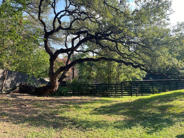 Modern Retreat / Free parking / close to DT & SoCo