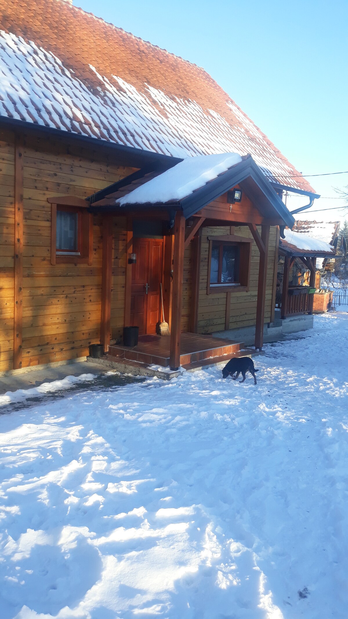 A charming wooden house is depicted, featuring a sloped roof dusted with snow. The entrance is framed by a wooden awning, while a small pathway leads to the door. A dog is seen on the snow-covered ground, adding to the serene winter setting.