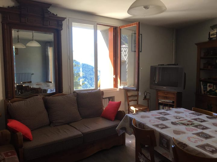 Maison Familiale Avec Vue Magnifique. - L'Alpe d'Huez