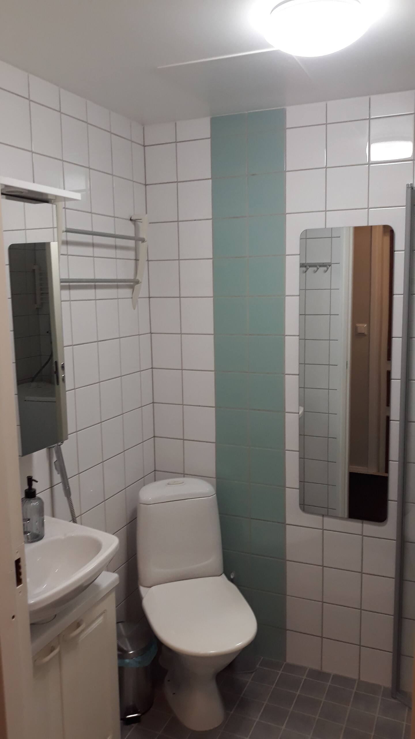 Pikkusievä Huoneisto Kaikilla Mukavuuksilla. 5