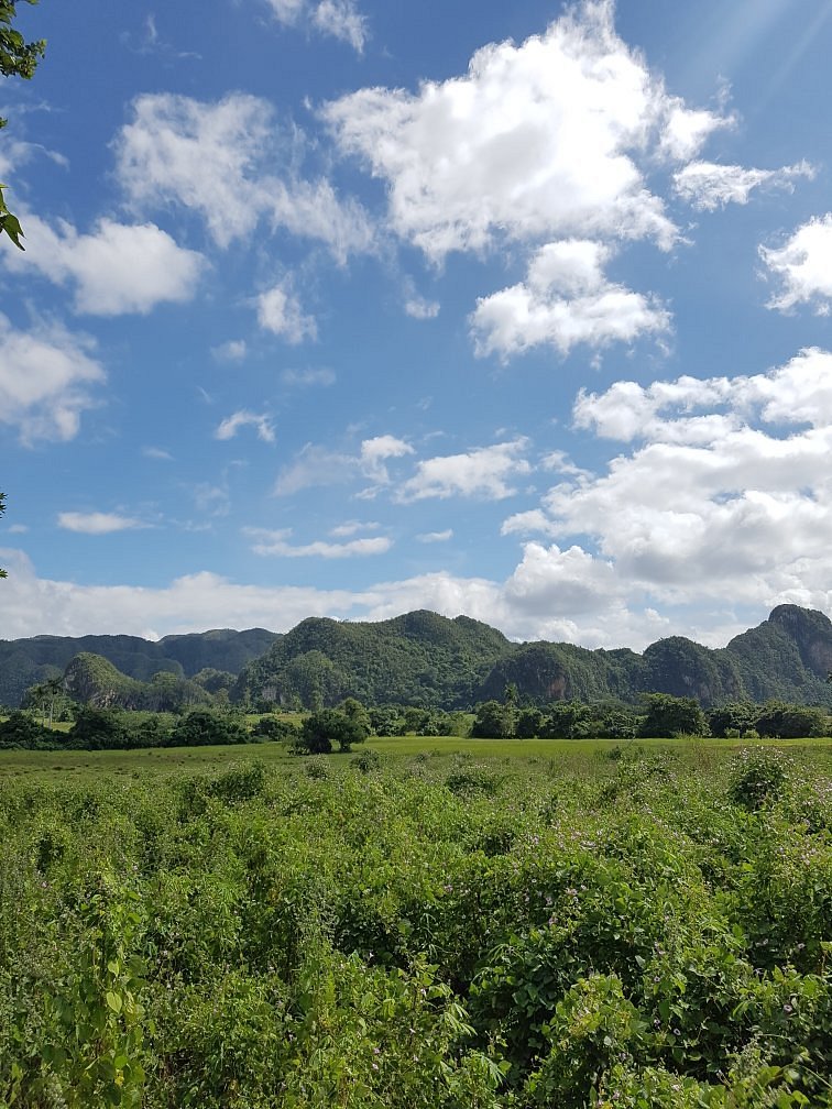 A vast landscape features rolling green hills under a bright blue sky scattered with fluffy white clouds. Lush vegetation stretches across the foreground, providing a natural contrast to the dramatic mountains in the background.