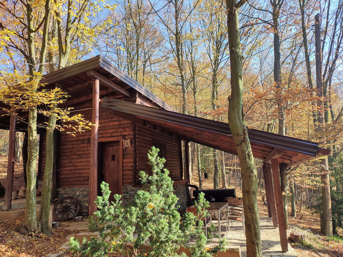 A wooden cabin is nestled among trees displaying autumn foliage. The structure features a sloping roof and is complemented by a small outdoor dining area with tables and chairs. Natural elements are integrated into the surroundings, enhancing the rustic charm of the setting.