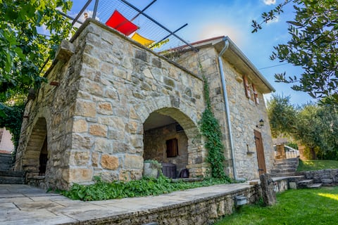 Villa Oliva in the heart of Istria
