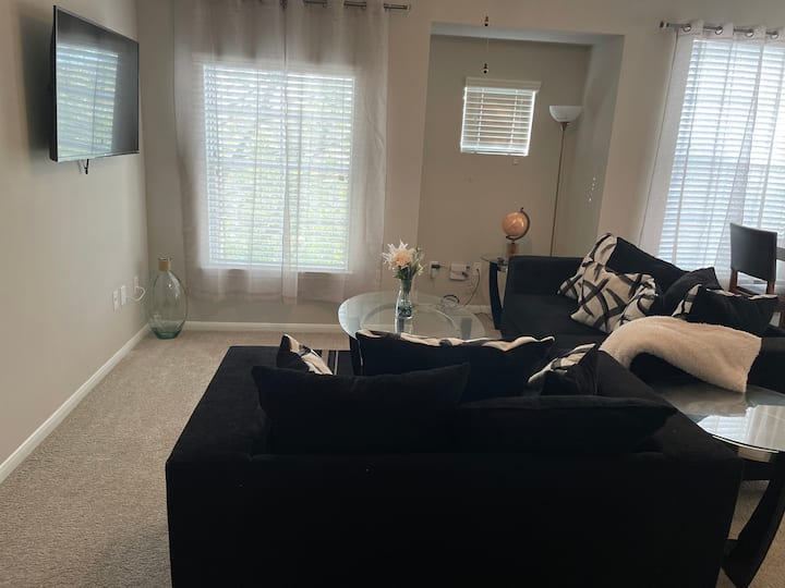 1 Bedroom Luxe Unit Houston Galleria Apartments for Rent in