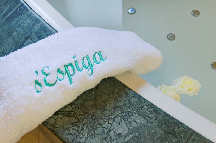 VILLA SESPIGA CON PISCINA EN PORTO COLOM gallery image 3