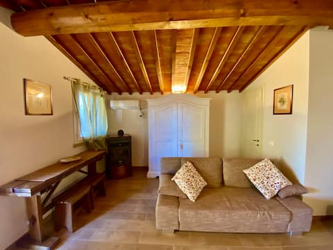 Popular Airbnb listing: The nest in Tuscany in Cecina
