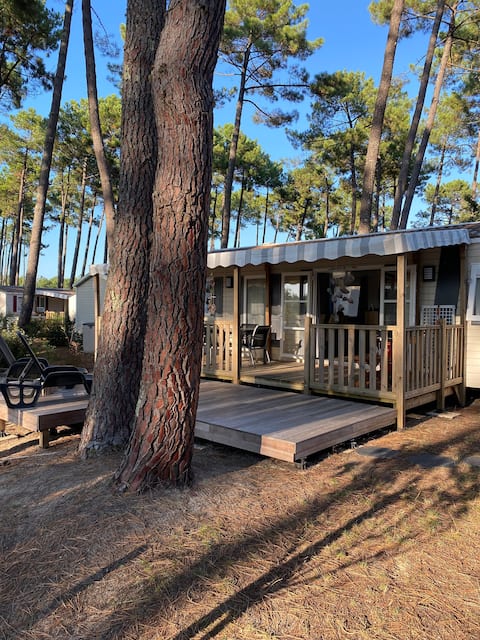 Annonce Airbnb populaire: Four-Star Bungalow à Saint Julien En Born