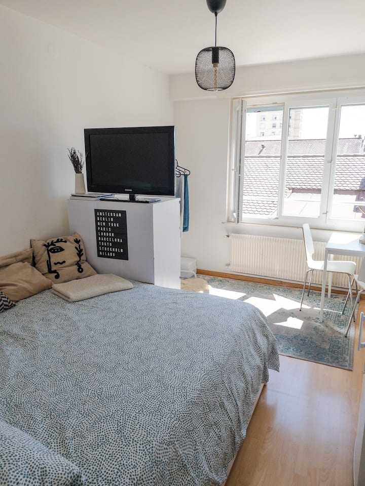 Lausanne Holiday Rentals & Homes Vaud, Switzerland Airbnb