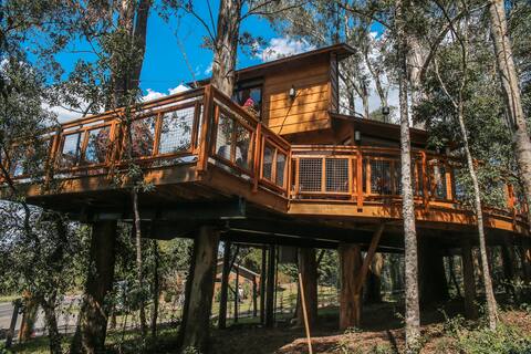 Treehouse Home of the Fireflies