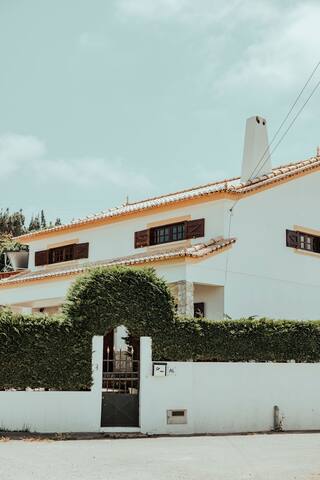 Eco Surf Villa with Natural Pool gallery image 3