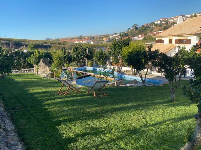 Eco Surf Villa with Natural Pool gallery image 4