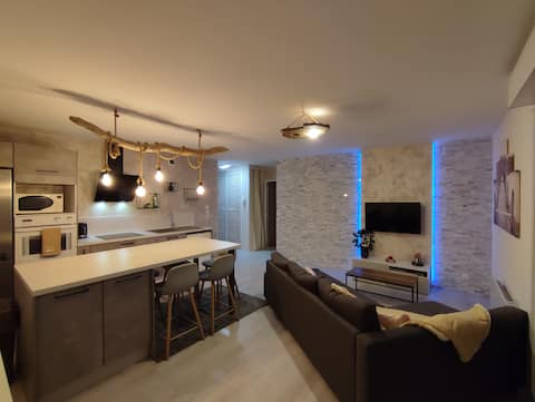 Spacious apartment on the banks of the Loire