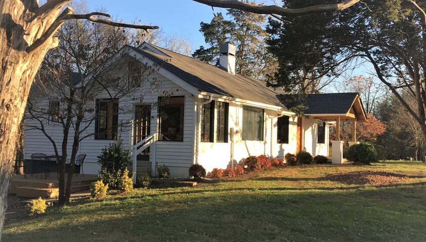 The Forest House gallery image 2