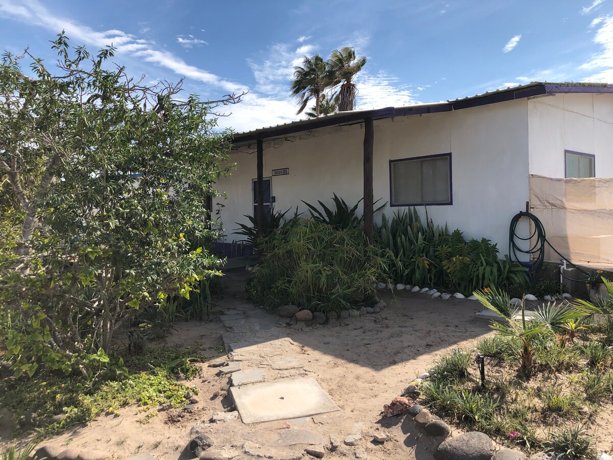 A simple house is surrounded by lush greenery and palm trees. A sandy path leads to the entrance, with various plants lining the walkway. The exterior features large windows, and the structure is partially shaded by a canopy created by the roof's overhang.
