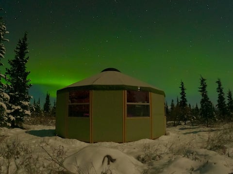 Successful Airbnb property: Evergreen Yurt Near Denali National Park in Healy