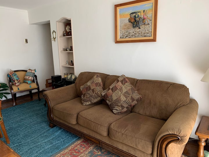 Nice apartment, central, cozy and quite Apartments for Rent in Viña