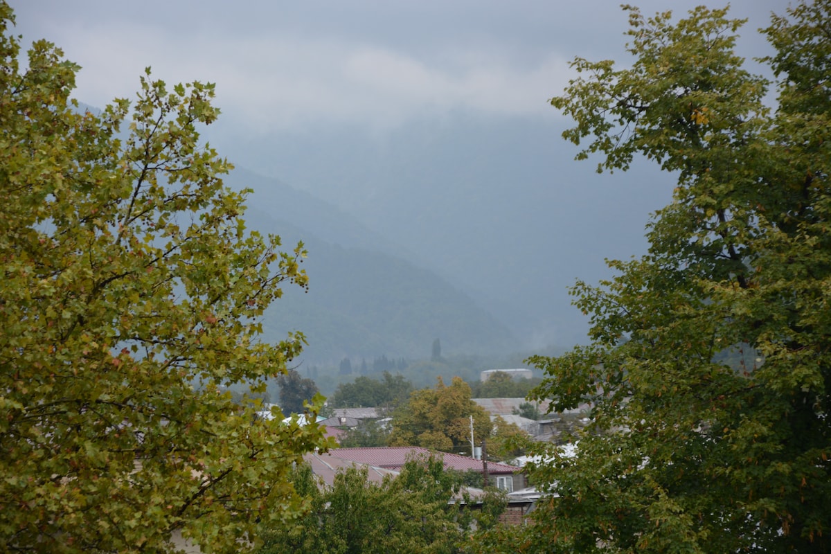 A serene view of a landscape is framed by lush green trees. In the distance, mountains rise softly against a cloudy sky, while a peaceful village is visible below, with rooftops peering through the foliage.